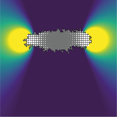 picture of simulation showing the orientation of the cytoskeleton