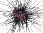 An image illustrating the 3D CPM-MD model