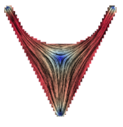 An image from the manuscript illustrating the approach; the image shows a CPM cell on a V-shaped micropattern. Stripes show fiber orientation and a color scheme shows the order parameter and a large defect in the middle of the cell