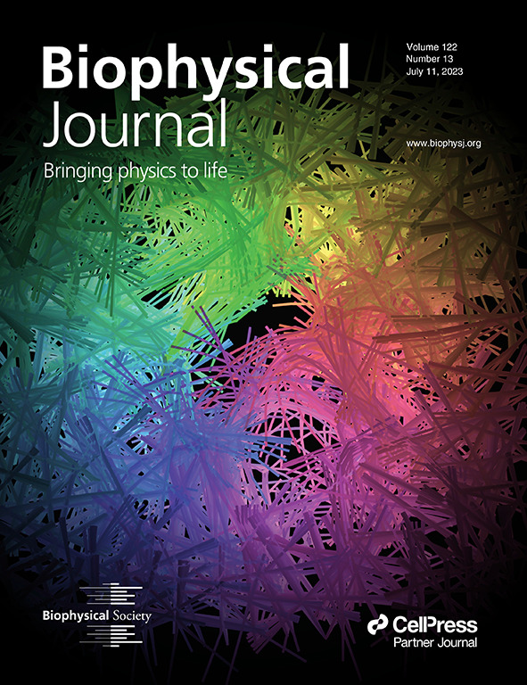 A snapshot of a simulation of a contracted cell surrounded by a fibrous ECM network