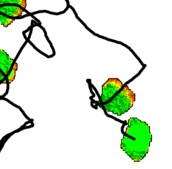 Illustration of cell migration behavior studied in this paper