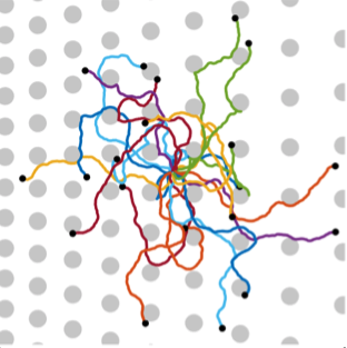 Trajectories of cells undergoing topotaxis